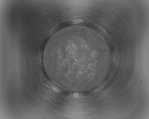 X0000074280565200609222246