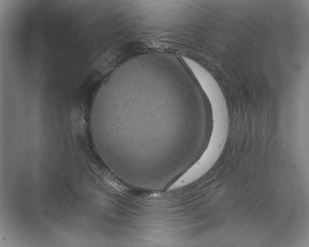 X0000074280566200609222246