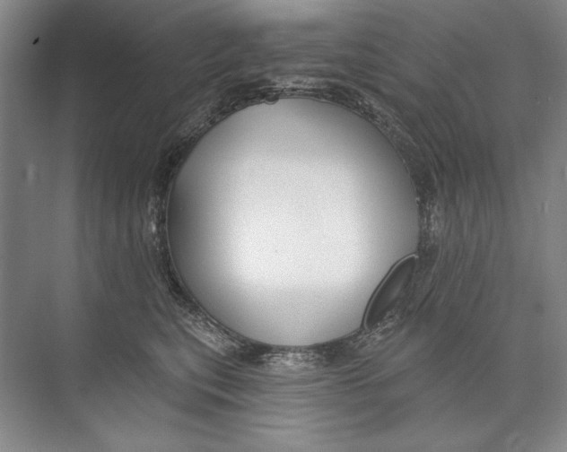 X0000074280567200609222246