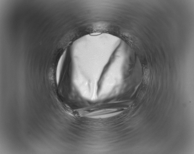 X0000074280571200609222246