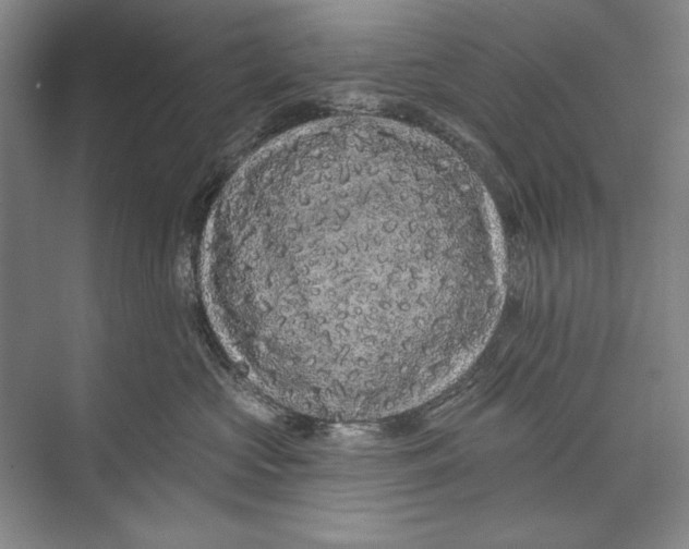 X0000074280573200609222246