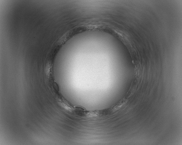 X0000074280574200609222246