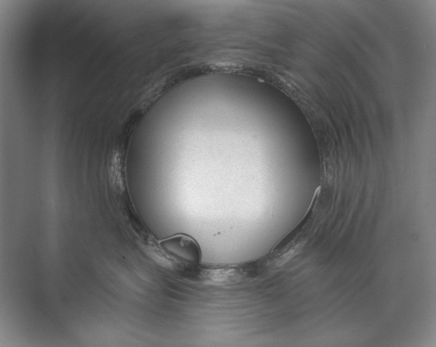 X0000074280575200609222246