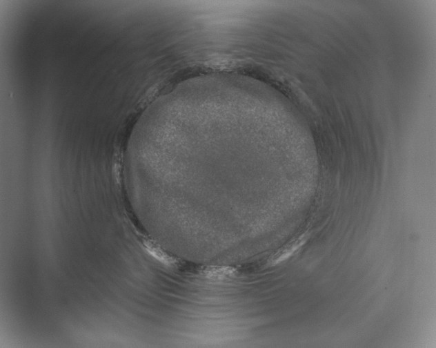 X0000074280576200609222246