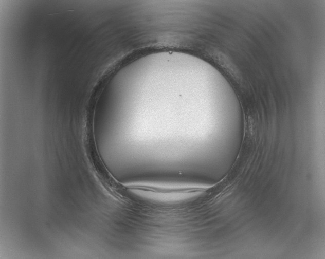 X0000074280588200609222245