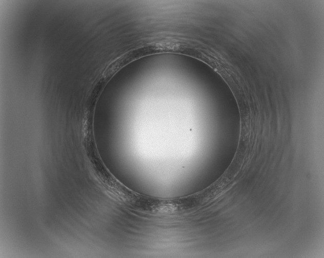 X0000074280600200609222245