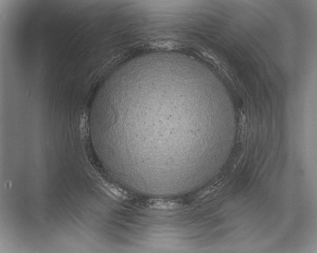 X0000074280601200609222245