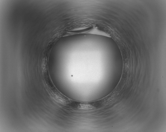 X0000074280605200609222245