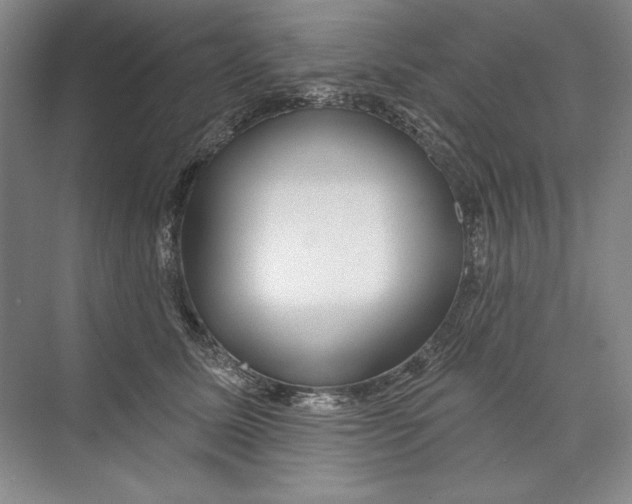 X0000074280611200609222245