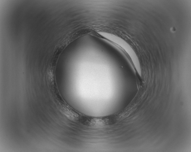 X0000074280613200609222245