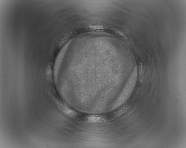 X0000074280614200609222245