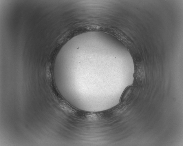X0000074280616200609222245