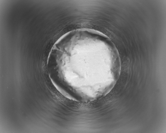 X0000074280618200609222245