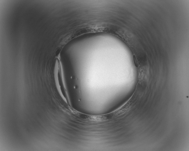 X0000074280623200609222245