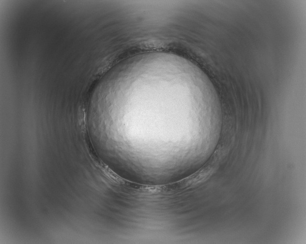 X0000074280624200609222245