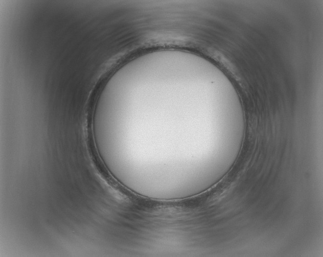 X0000074280629200609222244
