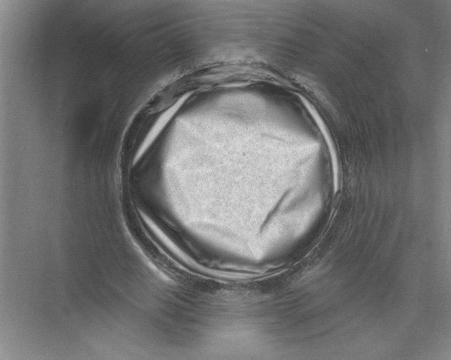 X0000074280630200609222244