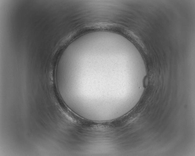 X0000074280633200609222244
