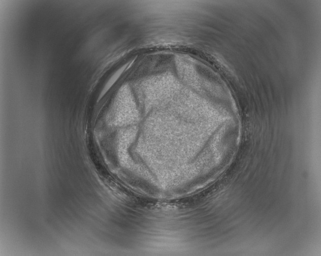 X0000074280640200609222244