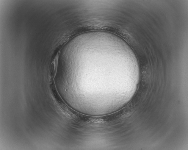 X0000074280642200609222244