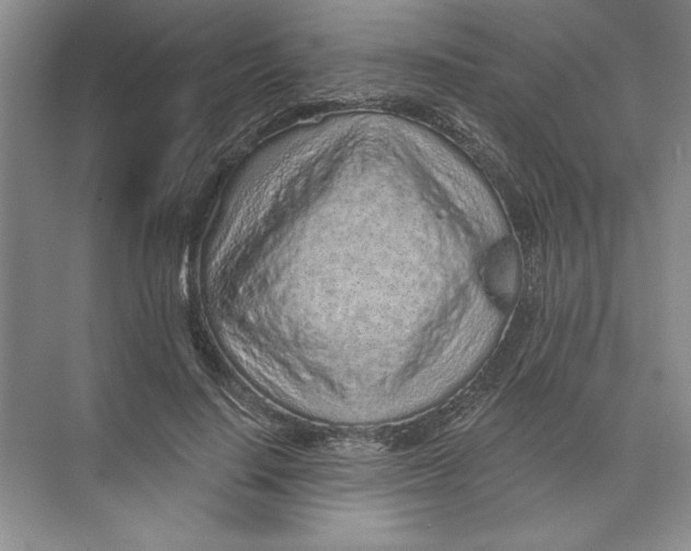 X0000074280644200609222244