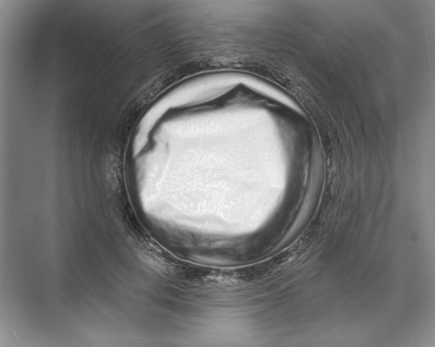 X0000074280648200609222244