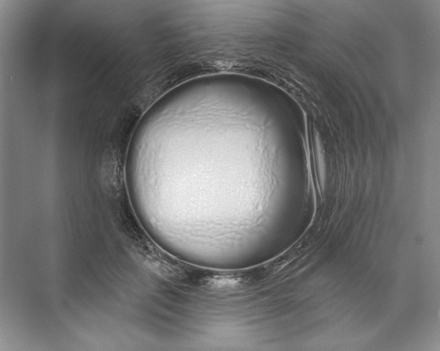 X0000074280651200609222244