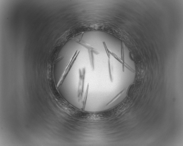 X0000074280656200609222244