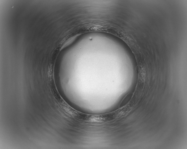X0000074280657200609222244