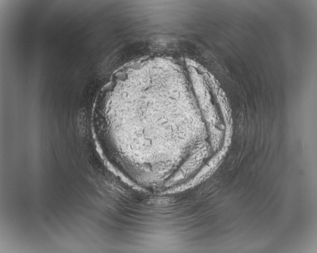X0000074280659200609222244