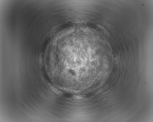 X0000074280662200609222244