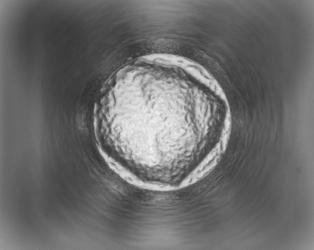 X0000074280663200609222245
