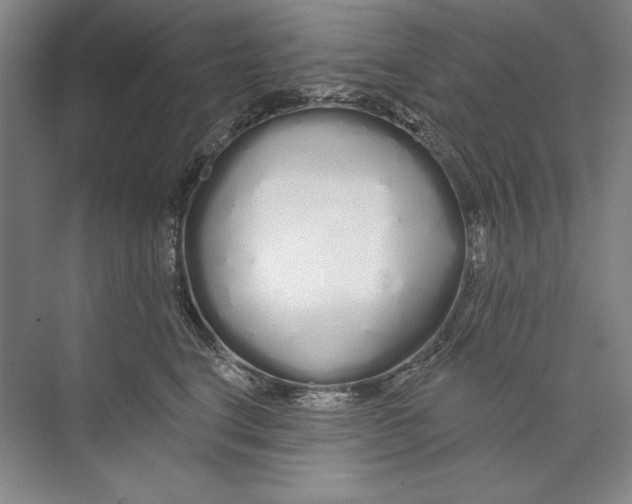 X0000074280664200609222245