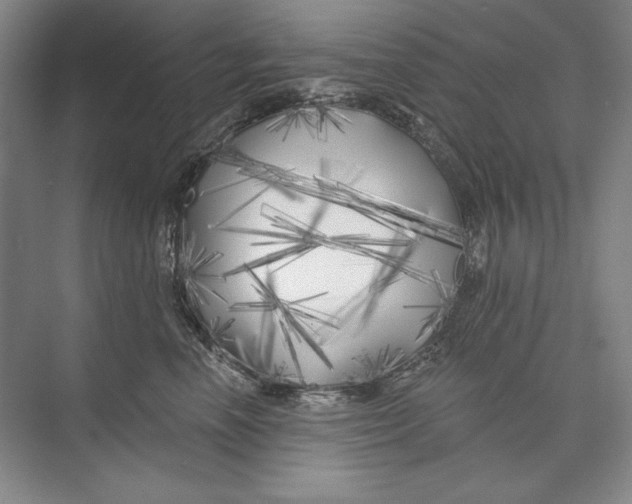 X0000074280666200609222245