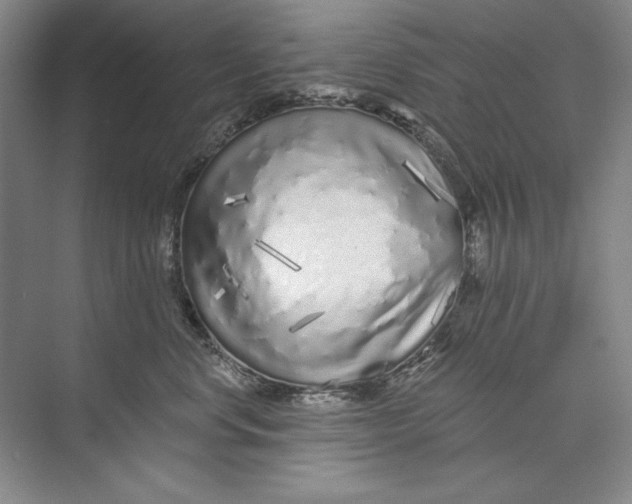 X0000074280668200609222245