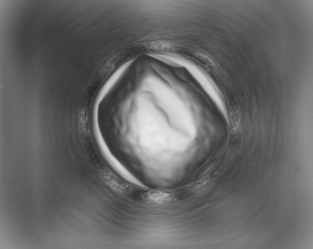 X0000074280669200609222245