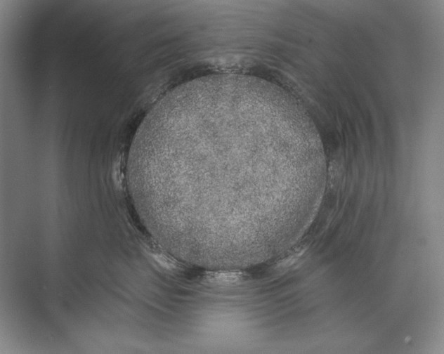 X0000074280671200609222245