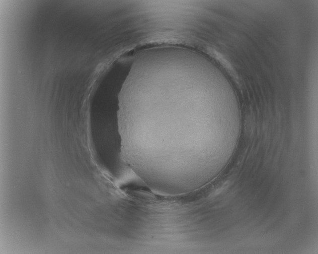 X0000074280673200609222244
