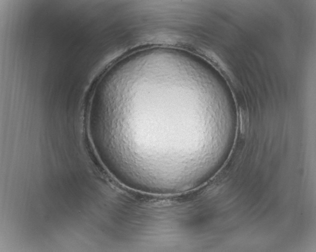 X0000074280675200609222244