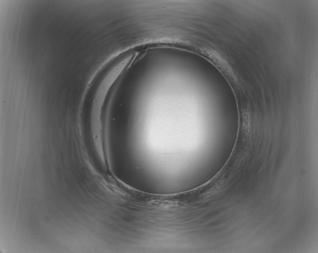 X0000074280676200609222244