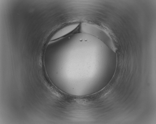 X0000074280681200609222244