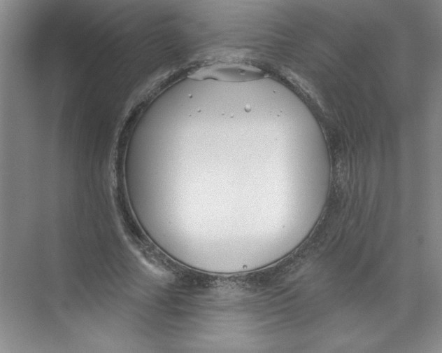 X0000074280682200609222244