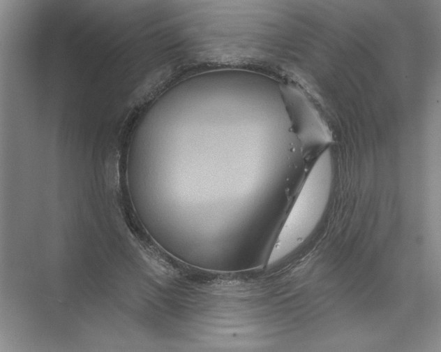 X0000074280685200609222244