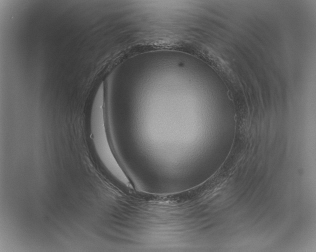 X0000074280689200609222244