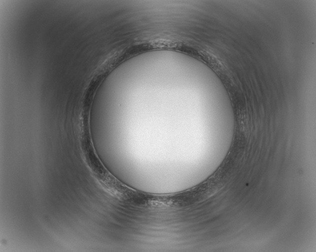 X0000074280690200609222244