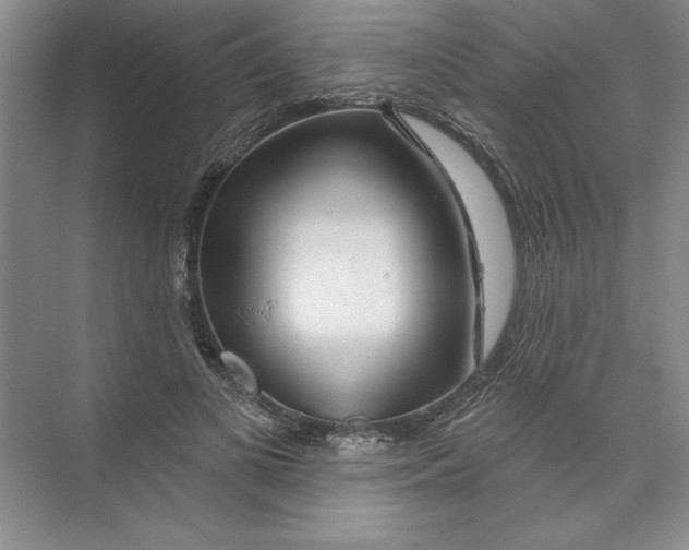 X0000074280693200609222244