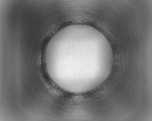 X0000074280694200609222243