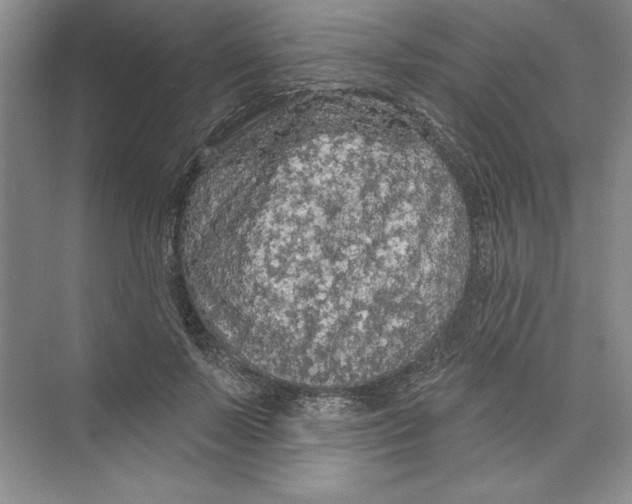 X0000074280695200609222243