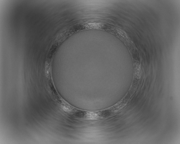 X0000074280701200609222243