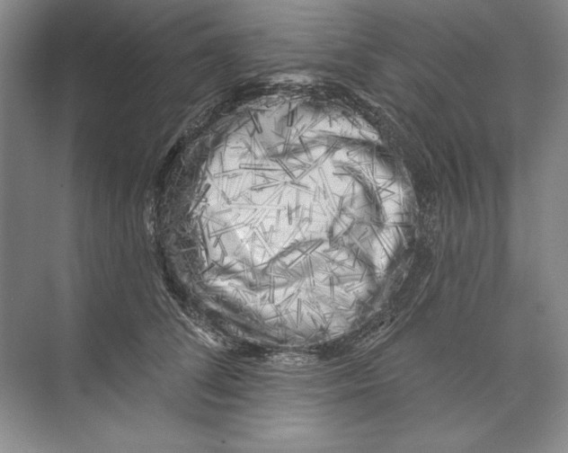 X0000074280708200609222243